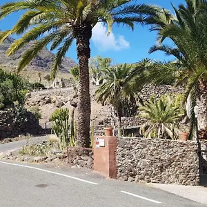 De Cactualdea San Nicolás
